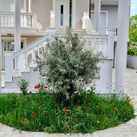 The Pandora Hotel Velipoje Velipojë